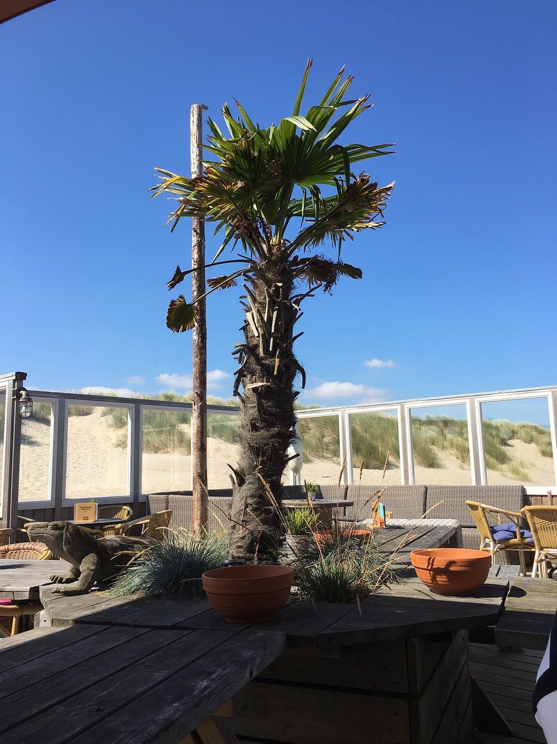 Aloha Beach in Vrouwenpolder